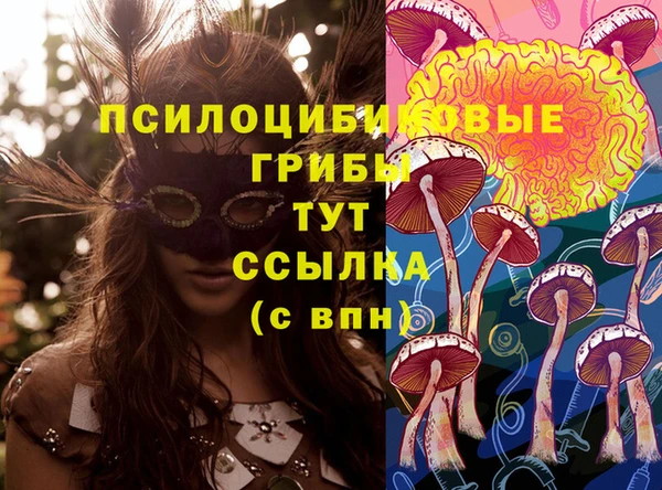 мет Абинск